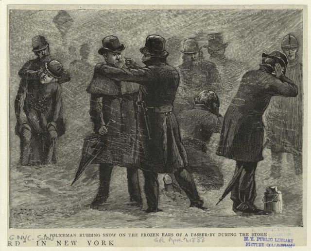 And from the NYPL: "A policeman rubbing snow on the frozen ears of a passer-by during the storm. (1888)" What?